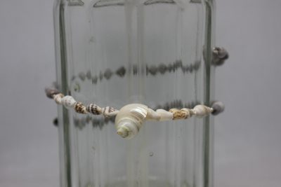 CARACOL PERLADO, CARACOLAS, LÁGRIMAS DE SAN PEDRO Y LATÓN