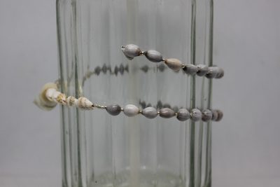 CARACOL PERLADO, CARACOLAS, LÁGRIMAS DE SAN PEDRO Y LATÓN