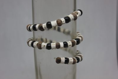 AÇAÍ CEREBRO, PALMA Y VERTEBRAS