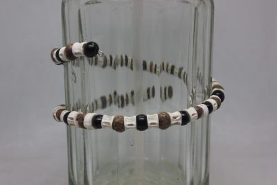 AÇAÍ CEREBRO, PALMA Y VERTEBRAS