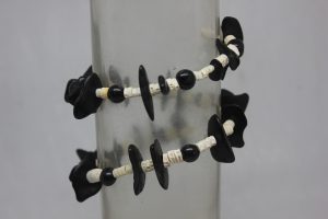 PALMA, TAGUA PLANA Y VERTEBRAS
