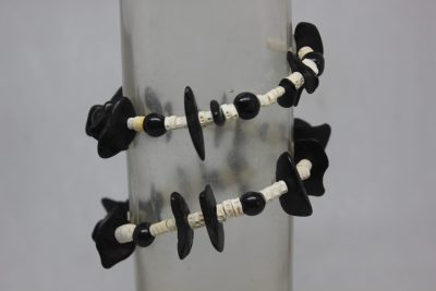 PALMA, TAGUA PLANA Y VERTEBRAS