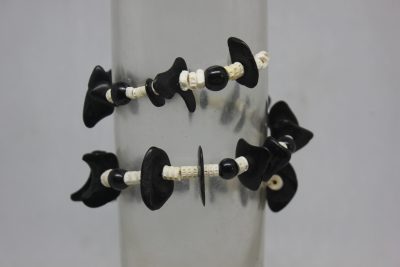 PALMA, TAGUA PLANA Y VERTEBRAS