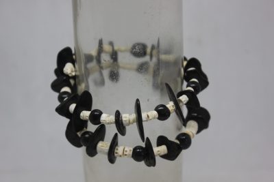 PALMA, TAGUA PLANA Y VERTEBRAS