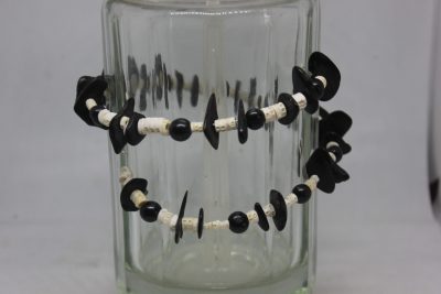 PALMA, TAGUA PLANA Y VERTEBRAS