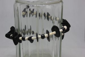 PALMA, TAGUA PLANA Y VERTEBRAS