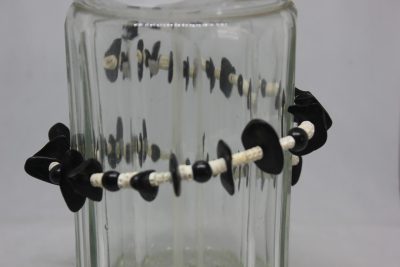 PALMA, TAGUA PLANA Y VERTEBRAS