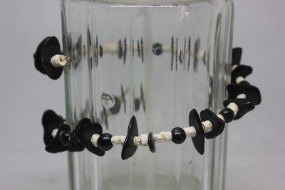 PALMA, TAGUA PLANA Y VERTEBRAS